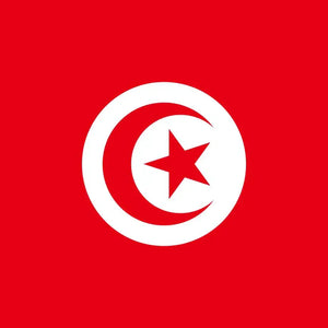 [Custom Logo] Tunisian flag-Kendo Zekken Position1(Left side of "TUNISIA")