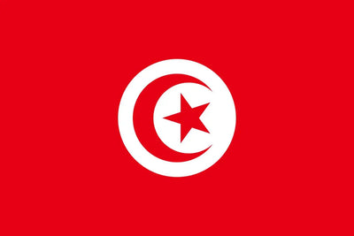 [Custom Logo] Tunisian flag-Kendo Zekken Position1(Left side of "TUNISIA")